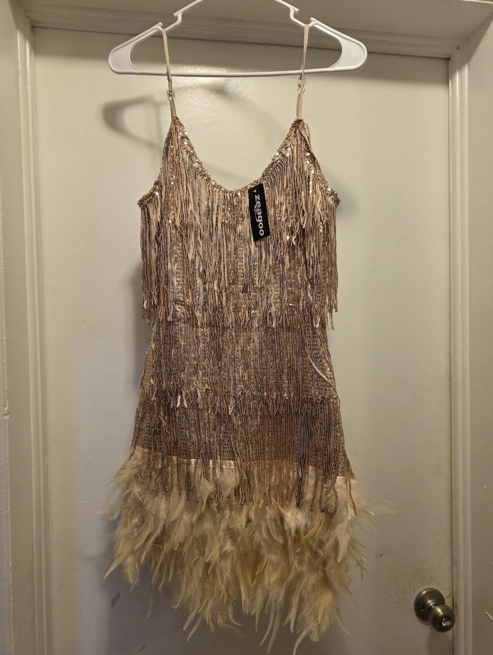 zeagoo Champagne Fringe & Feather Mini Dress